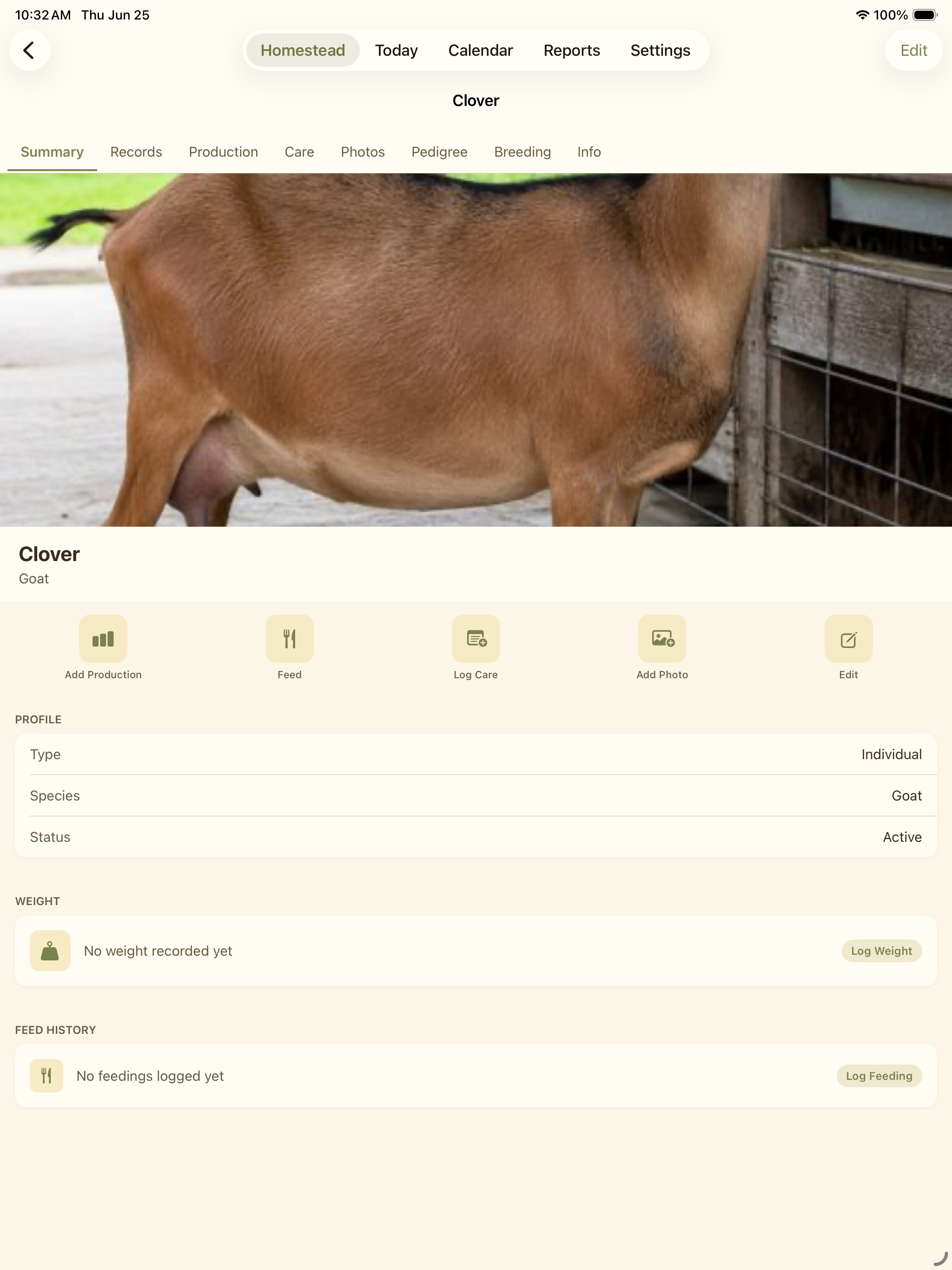 Animal detail screen for Clover with photo, summary, actions, and record sections.